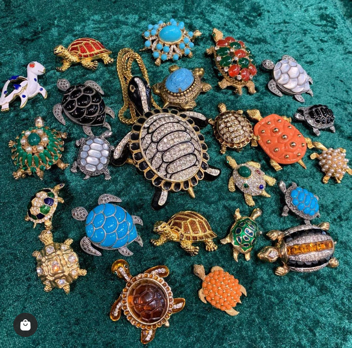 Bright Turquoise Tortoise Brooch - The Hirst Collection