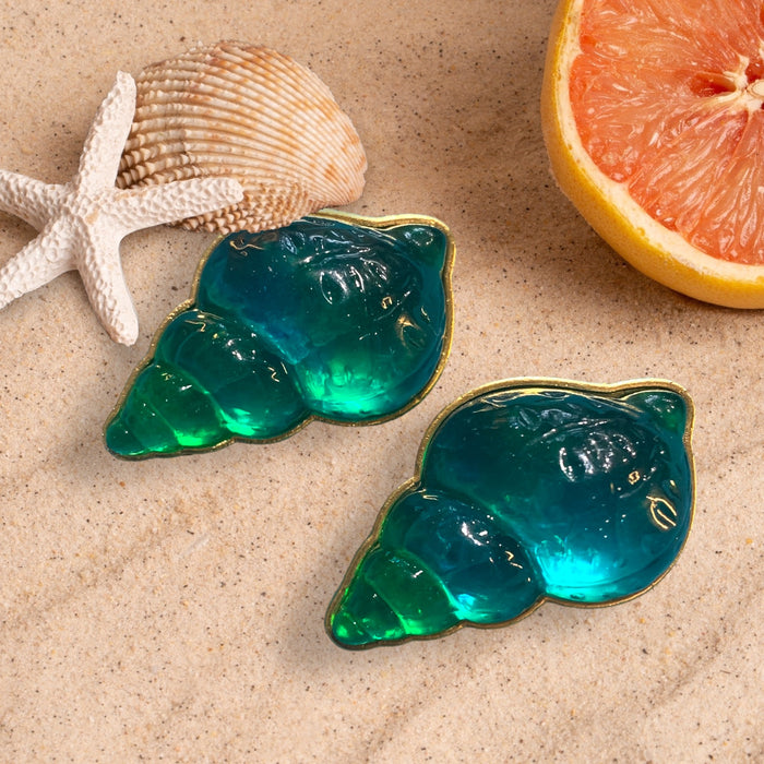 Turquoise sea shell big earrings