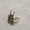 Spider Ring Silver Marcasite - The Hirst Collection
