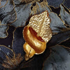 Christian Dior Brooch Vintage shell/conch pin - The Hirst Collection