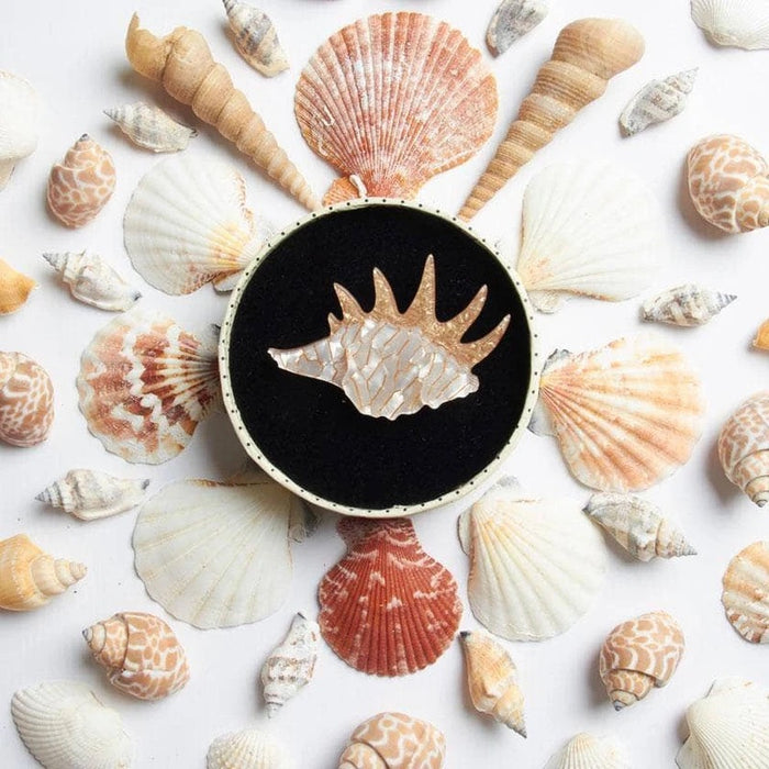 Erstwilder Mobile Home shell brooch 2018 - The Hirst Collection